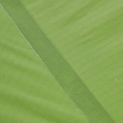 VAUDE LIZARD SEAMLESS 1-2P - Einpersonenzelt -Freien Camping Geschäft 5637736447 af power lizard seamless 12p cress green vaude 24