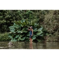 Grayl GEOPRESS PURIFIER - Trinkwasserfilter 15 Grayl GEOPRESS PURIFIER - Trinkwasserfilter -Freien Camping Geschäft 5637917282 f geopress purifier grayl 24